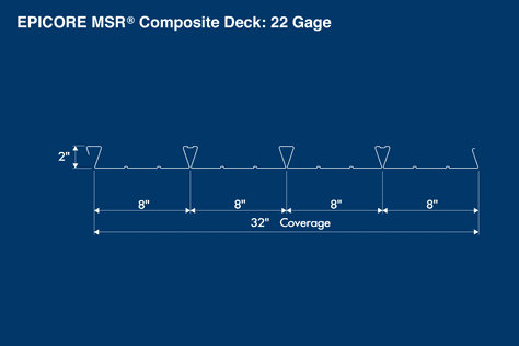 MSR 22 ga PROFILE